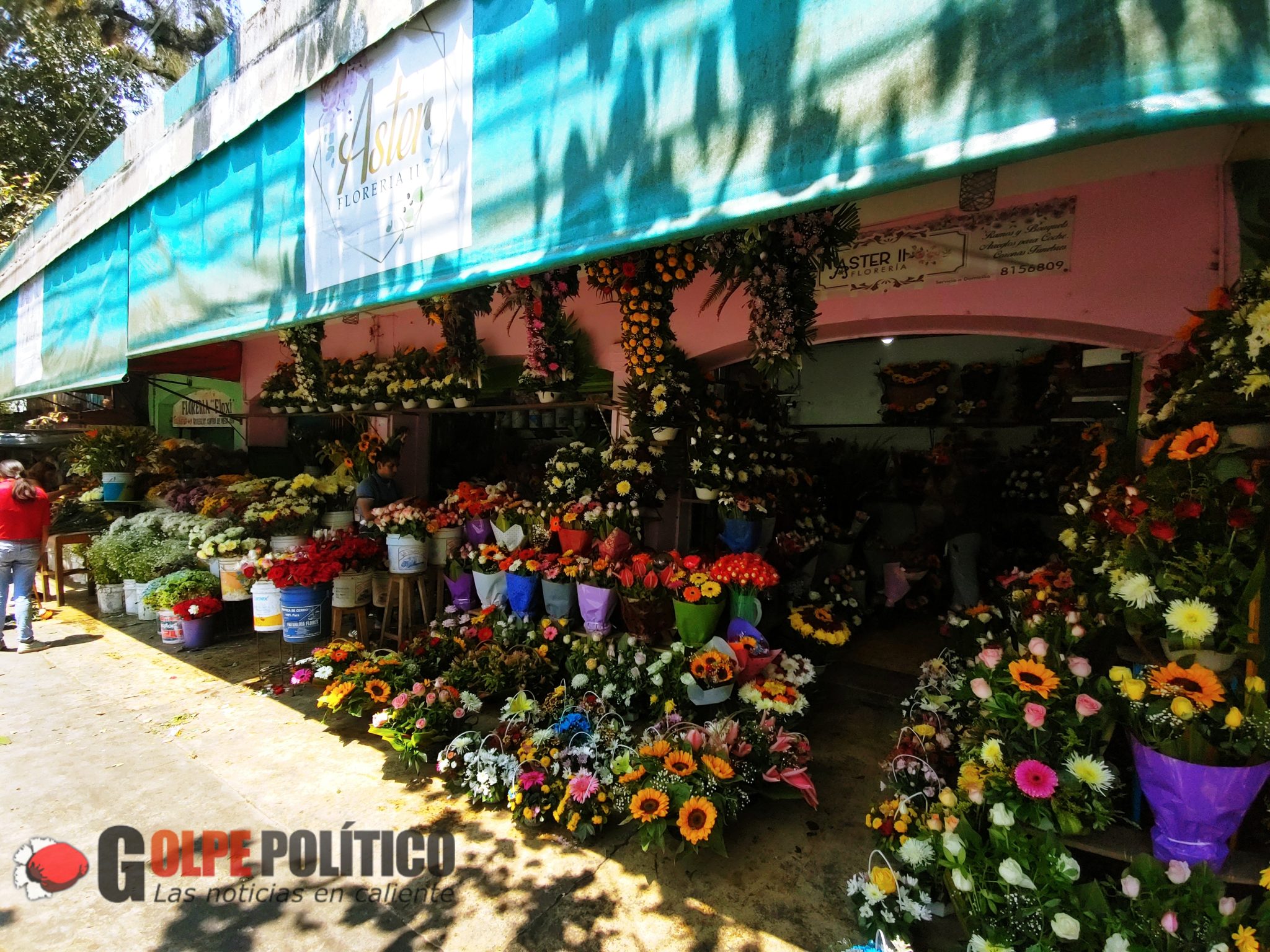 Alivio a su bolsillo! Repunta venta de flores por Día de las Madres,  aseguran comerciantes de la avenida Xalapa - Golpe Político