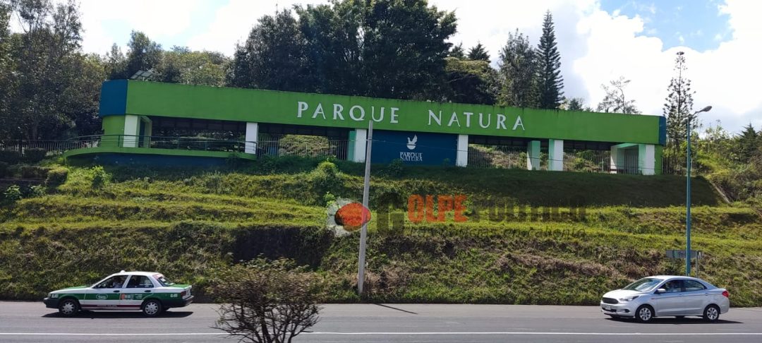 Abandonado, así se encuentra el Parque Natura de Xalapa - Golpe Político