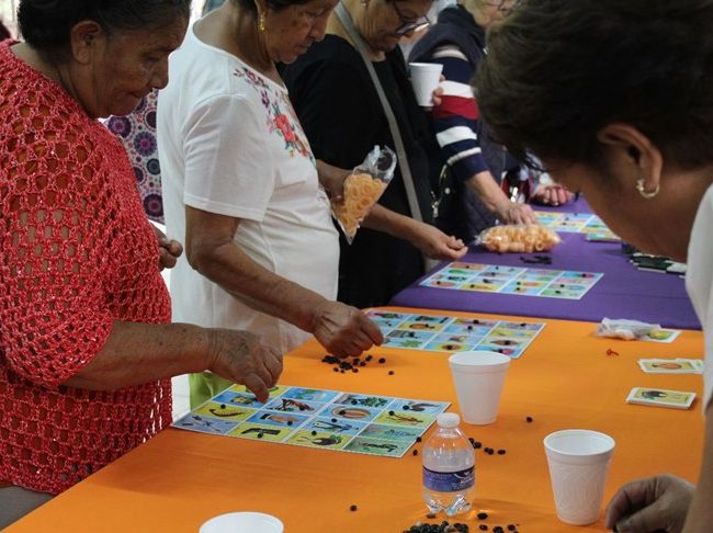 Imparte DIF taller de manualidades para adultos mayores en Plaza